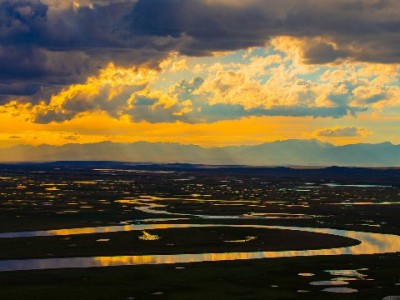 年底资金周转不用愁 出财小神助白条取现更安心