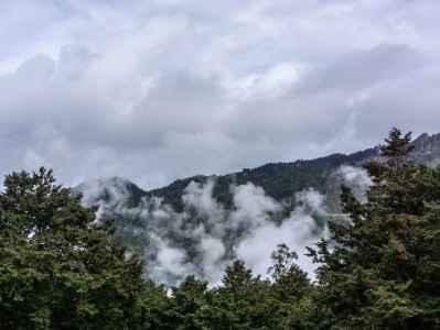 抖音月付可用金额能提现到微信吗？一文讲清规则与风险