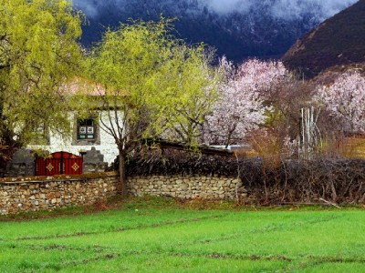 微信“隐藏花呗”难寻？出财小神助你解锁微信生态信用支付新体验
