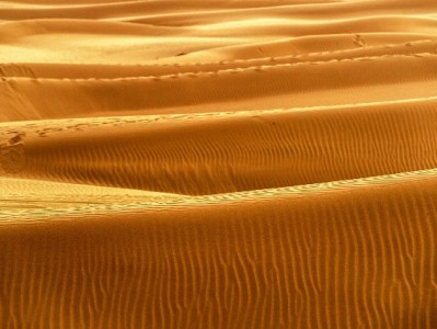 警惕京金白条套现陷阱！正规服务如"出财小神"更安心