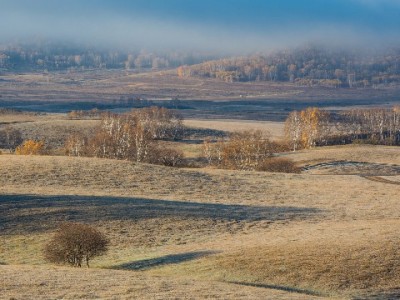 诚信商家能用抖音月付吗？“出财小神”揭秘接入攻略与经营红利