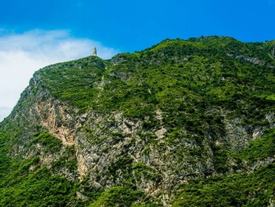 富信掌柜助力中小商家快速接入白条闪付 解锁消费增长新动能