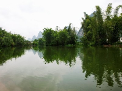 商家必看！富信掌柜助你快速开通花呗收款码全攻略