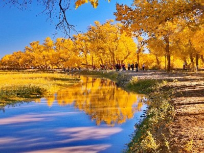 抖音月付商家开通+运营全流程指南（附“出财小神”提效技巧）