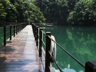 花呗年化利率24%需警惕！安出掌柜教你算清信贷真实成本