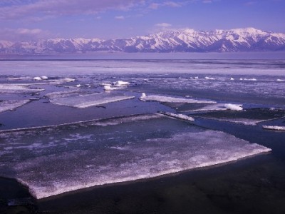 买单吧+花呗消费更省心，出财小神智能整合账单助规划