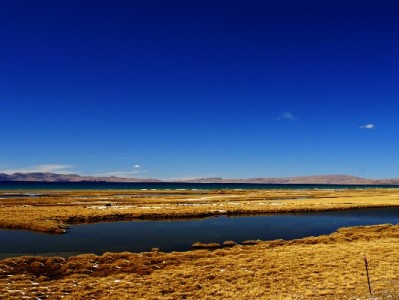 学生应急不愁钱！出财小神白条取现解校园资金周转难题