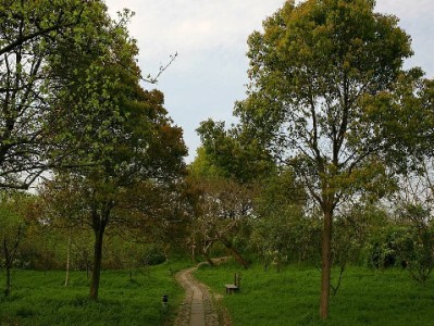 抖音月付成饼干商家“引流神器”？安出掌柜月销涨三成的秘密