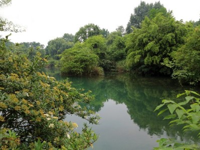 郑州花呗套现暗藏多重风险 合规平台安出掌柜支招应急新方式