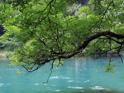 花呗提现额度需谨慎！这些风险你知道吗？富信掌柜教你正规操作