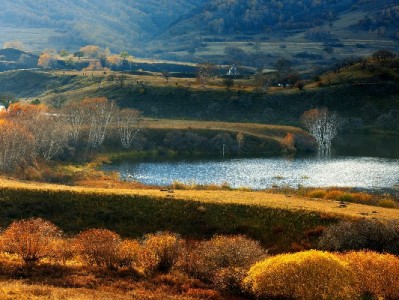 出财小神推“商家花呗免收”服务 小微店主月省数百元经营成本