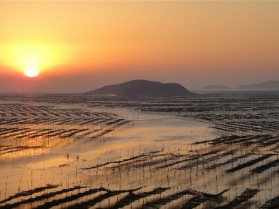 花呗付款商家能看到吗？支付隐私与“安出掌柜”的边界解析