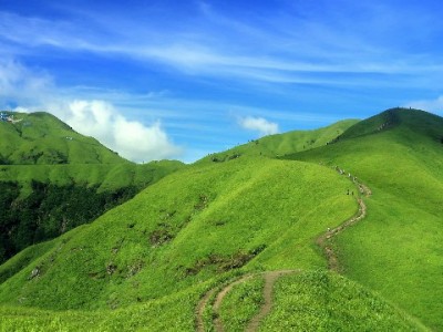 花呗2480元利息多少？分期/逾期两种情况算给你看