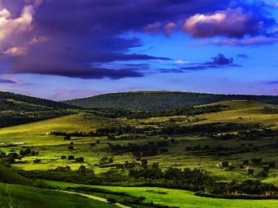 春节应急不用慌！白条取现攻略助你轻松备年货过好年