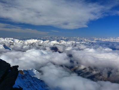 花呗收款适用商家全解析：线下线上哪些能开通？安出掌柜助力小微