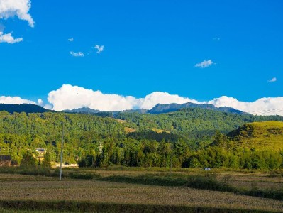 京东白条取现能随便用？安出掌柜教你算清资金使用账