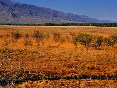 商家开通支付宝花呗全攻略：安出掌柜辅助避坑+高效提审