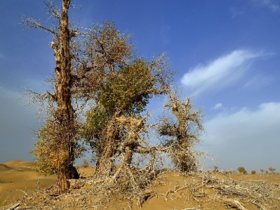 永劫无间手游消费新趋势：支持抖音月付的商家，富信掌柜订单涨两成