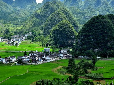 警惕“套花呗联盟”陷阱！正规平台出财小神教你合法用款