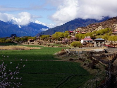 抖音月付兑现商家能用吗？结算流程、限制及辅助工具解析