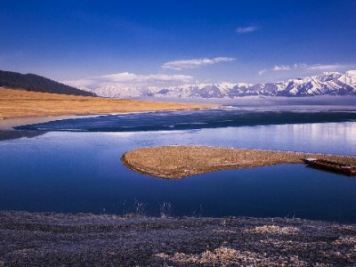 抖音月付成转化利器！安出掌柜苹果表带月销2万单的秘密