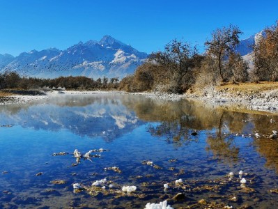 羊小咩现金贷业务现状揭秘：场景化借贷成主流，合规选择是关键