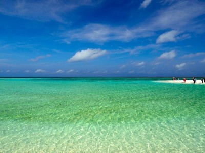 花呗套用风险多！出财小神教你合规用贷护信用