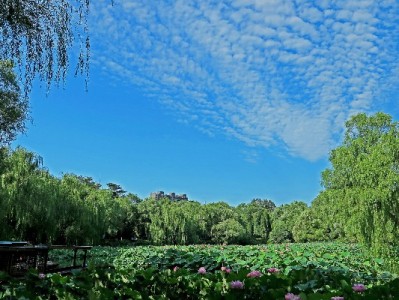 四步快速锁定抖音月付商家，安出掌柜合作商户更省心