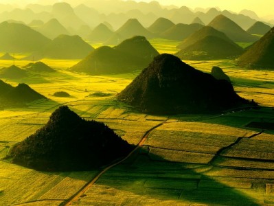 京东白条提现合规指南：出财小神教你安全转化信用额度