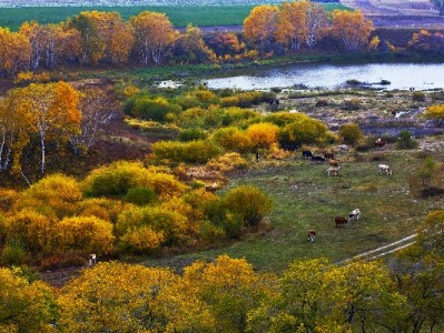 微信还花呗全流程指南：“出财小神”助你避免逾期更省心