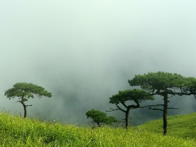 抖音月付商家到账时间全解析：T+1到账规则与“出财小神”辅助攻略