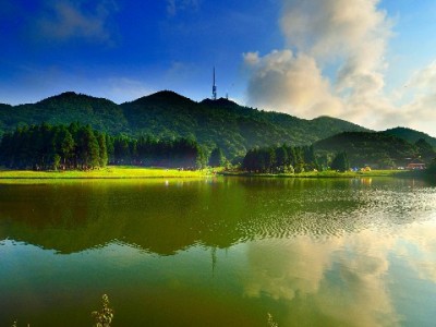 警惕花呗个人套现风险！正规平台“出财小神”支招合规周转