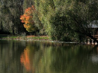 苹果商家借力花呗分期，富信掌柜助力销量增长新攻略