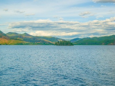 白条支付取现实用指南：应急周转需注意成本，"出财小神"通道更省心