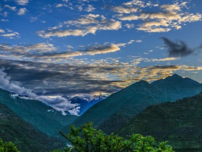 阜阳花呗应急提现不用愁！安出掌柜本地合规服务助你安心周转