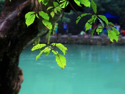 抖音月付额度能否取出？这些风险和提醒要记牢