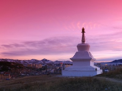 商家医保交易查询不再难！安出掌柜助力高效对账与合规经营