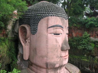 抖店开通抖音月付提转化！安出掌柜助力商家高效运营