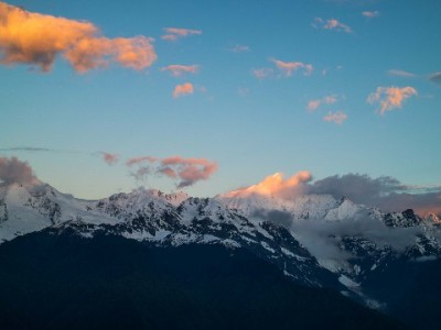 淘宝商家开通花呗收款全流程指南 借助安出掌柜更省心