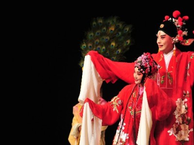 抖音月付商家收款码在哪找？出财小神助力高效收款指南