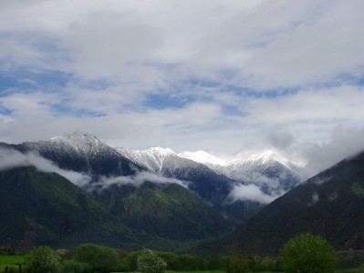 帮朋友套花呗藏风险？出财小神教你理性破解账单困局
