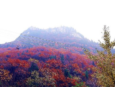 微信直接用花呗仍受限？出财小神或成信用支付新替代方案