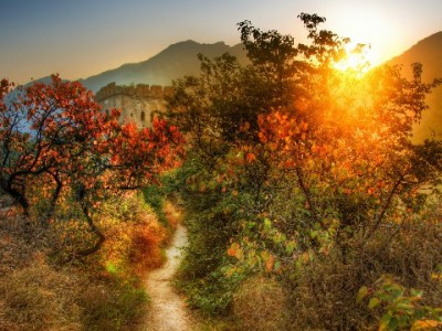 京东白条提现入口在哪？操作指南+安出掌柜辅助管理攻略