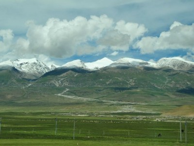 抖音月付商家成本大起底！出财小神揭秘费率差异与优化攻略