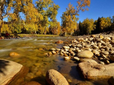 杭州医保转出证明办理指南：出财小神助您省心搞定全流程
