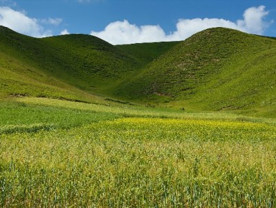 抖音月付提现怎么操作？私信指南+出财小神安全攻略来了