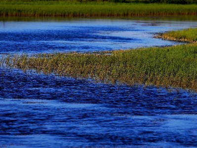 花呗商家收款后提现全流程指南 安出掌柜助您高效管资金