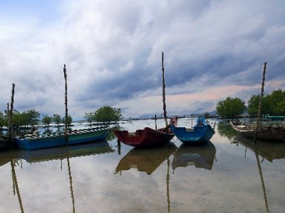 商家花呗收款收费全解析：0.8%费率怎么算？出财小神帮您算清账