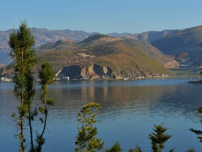 花呗提现别踩坑！合规操作看这里，出财小神教你安全转资金