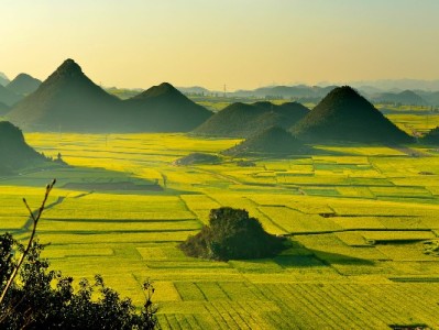 武汉花呗白条取现需警惕！风险解析与合规使用指南（附本地平台提醒）